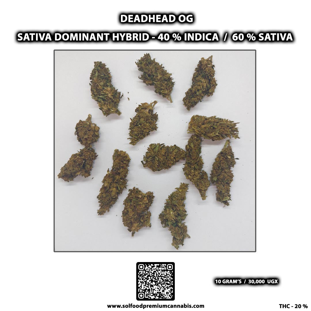 Deadhead OG - 10 Grams