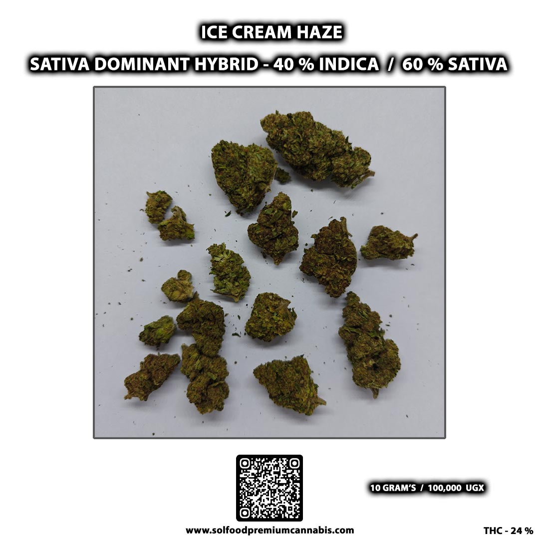 Ice Cream Haze - 10 Grams