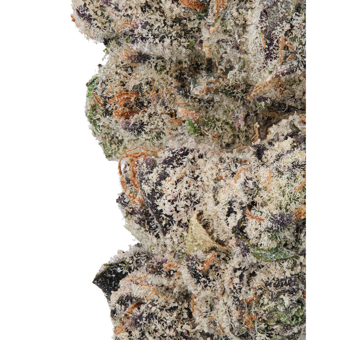 Tropical Candy Runtz - 1 Gram