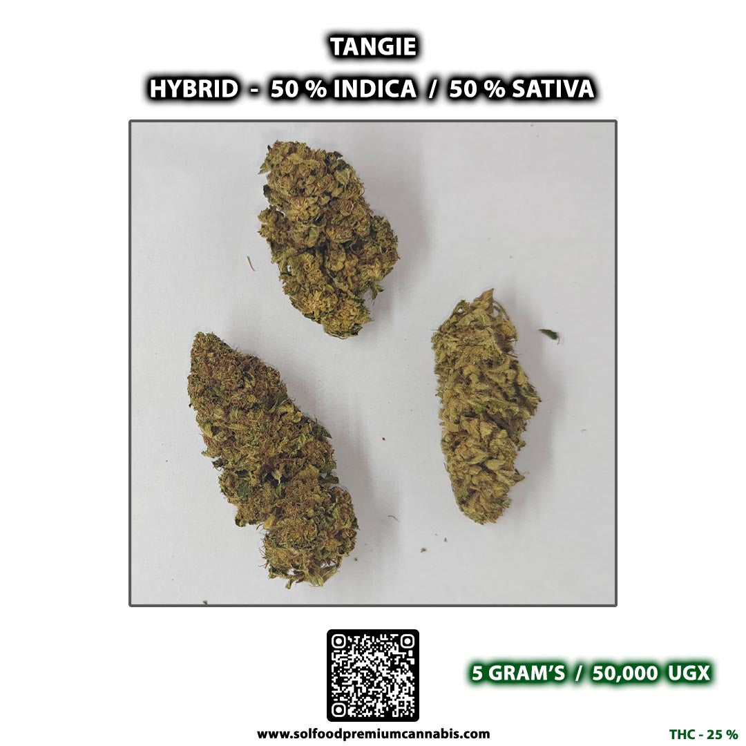 Tangie - 5 Grams