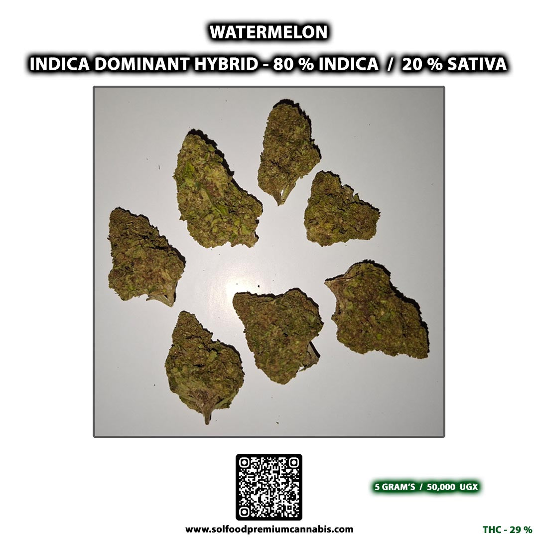 Watermelon - 5 Grams
