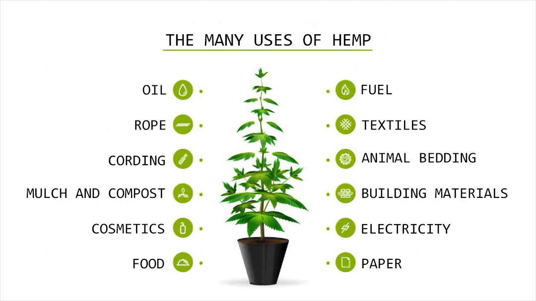 Hemp