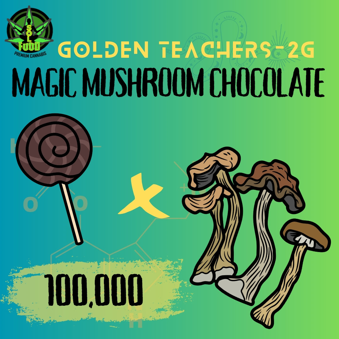 Magic Mushrooms- Golden Teachers Chocolate - 2 Grams