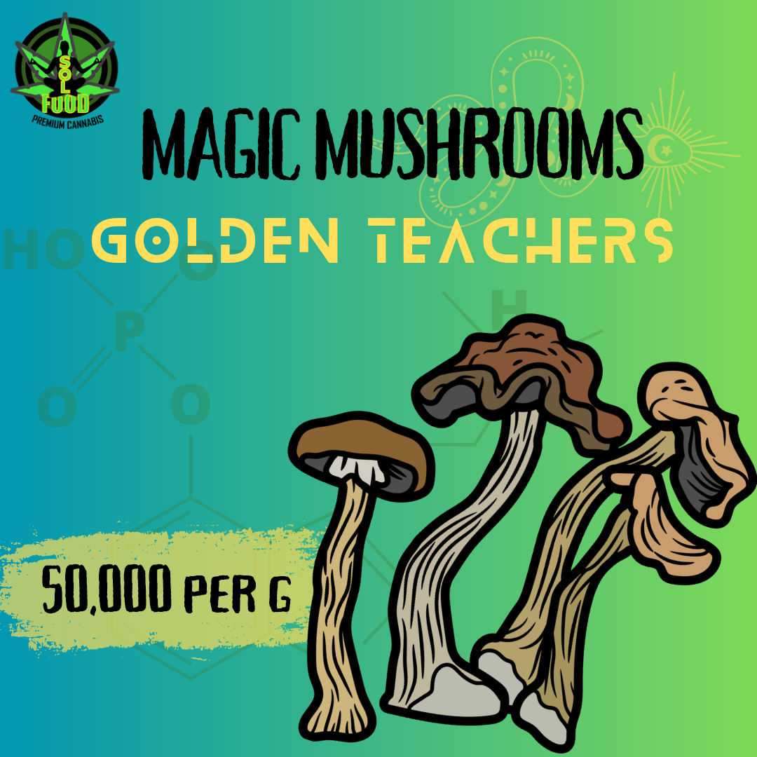 Golden Teachers - 1 Gram