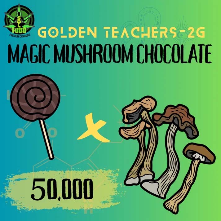 Magic Mushroom Golden Teachers Chocolate - 2 Grams