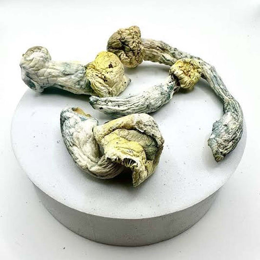 Nutcracker - 1 Gram