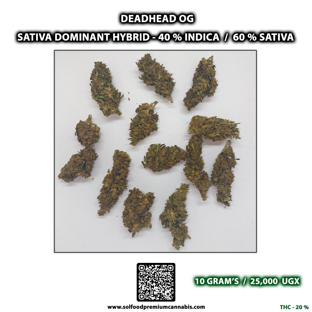 Deadhead OG - 10 Grams
