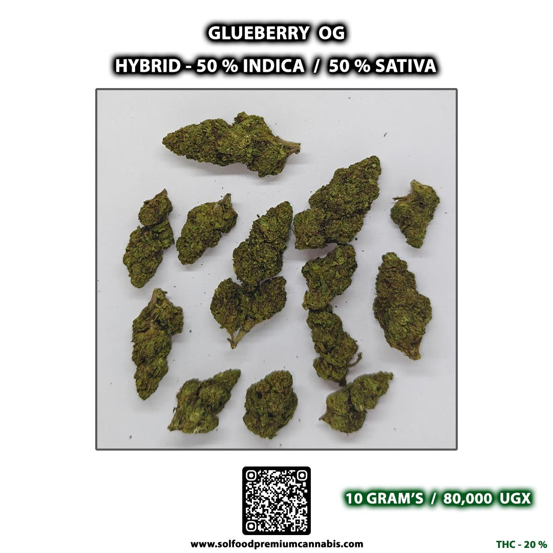 Glueberry OG - 10 Grams