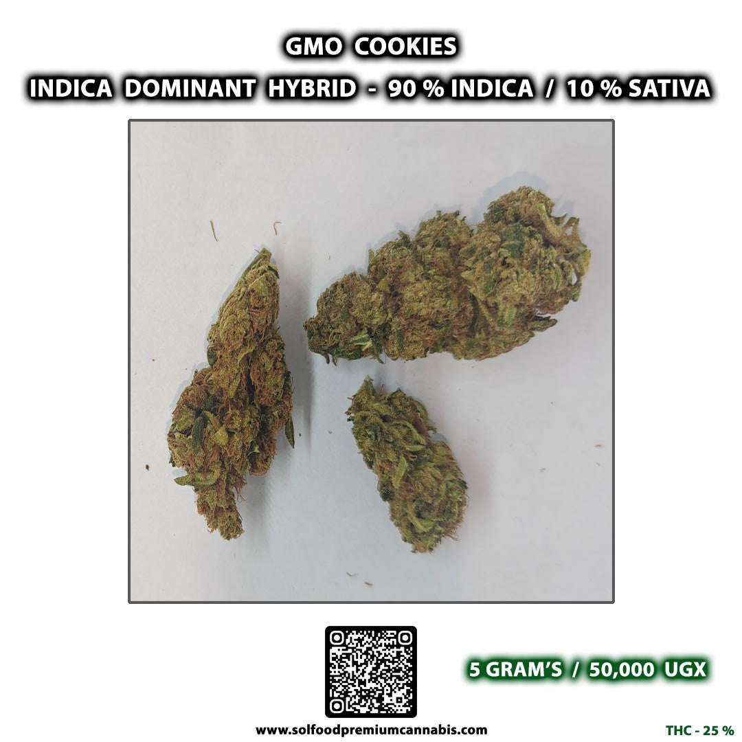 GMO Cookies - 5 Grams