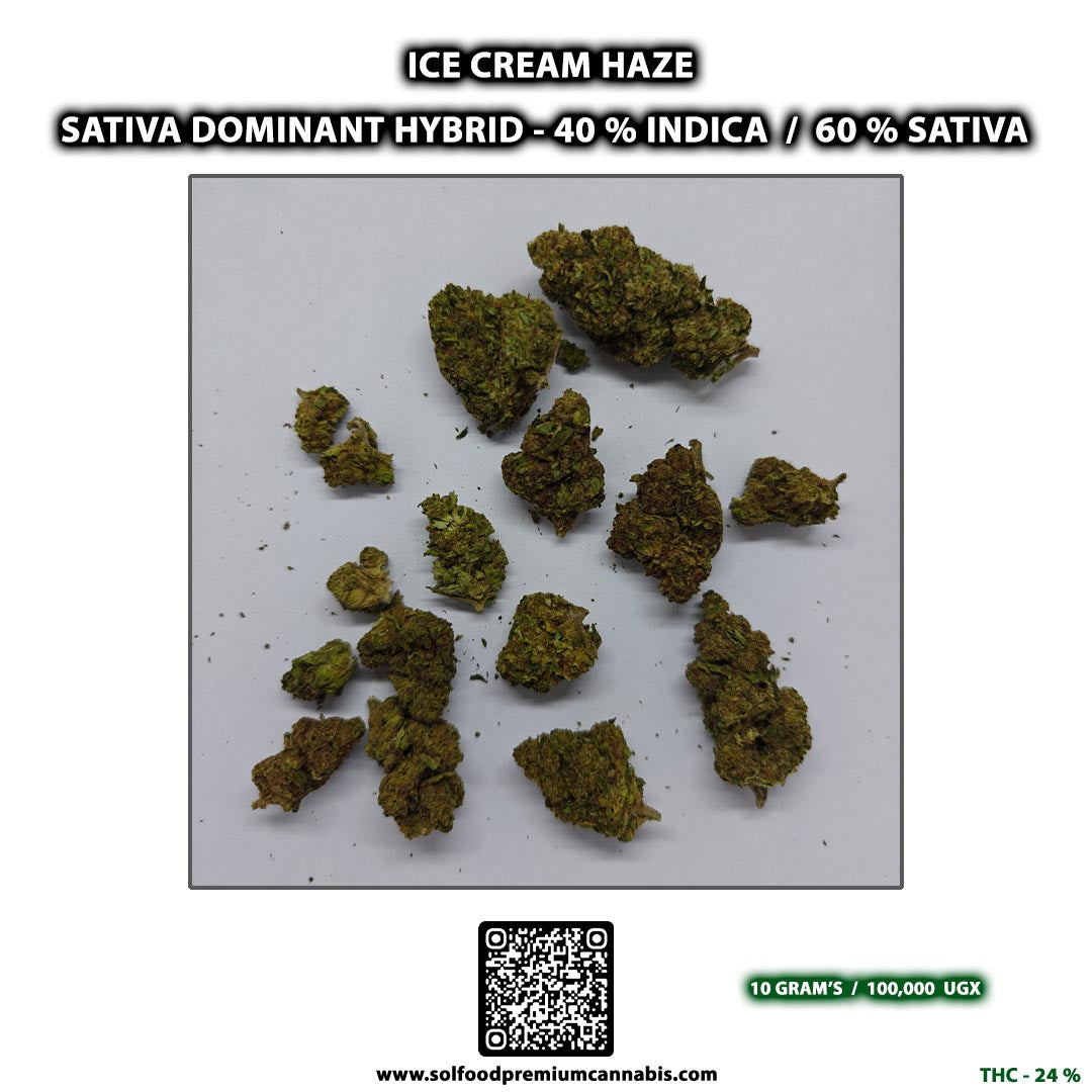 Ice Cream Haze - 10 Grams