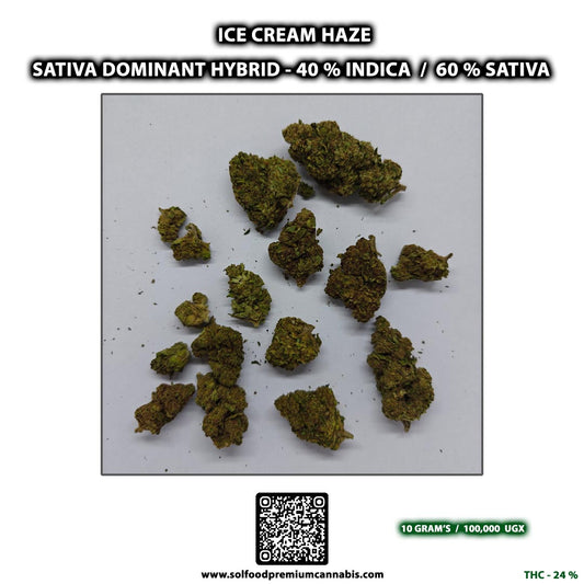 Ice Cream Haze - 10 Grams