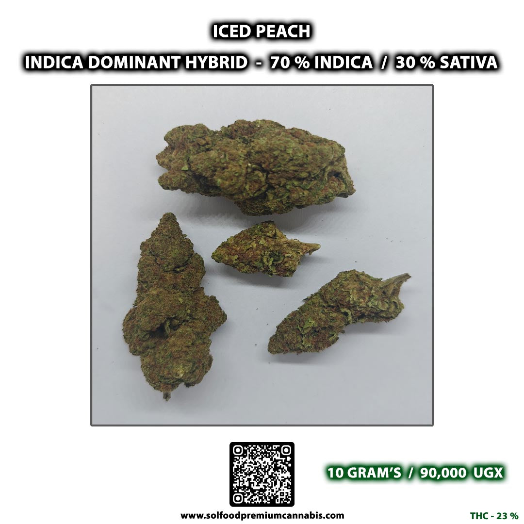 Iced Peach - 10 Grams