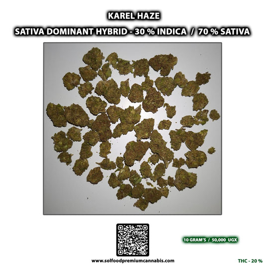 Karel Haze - 10 Grams