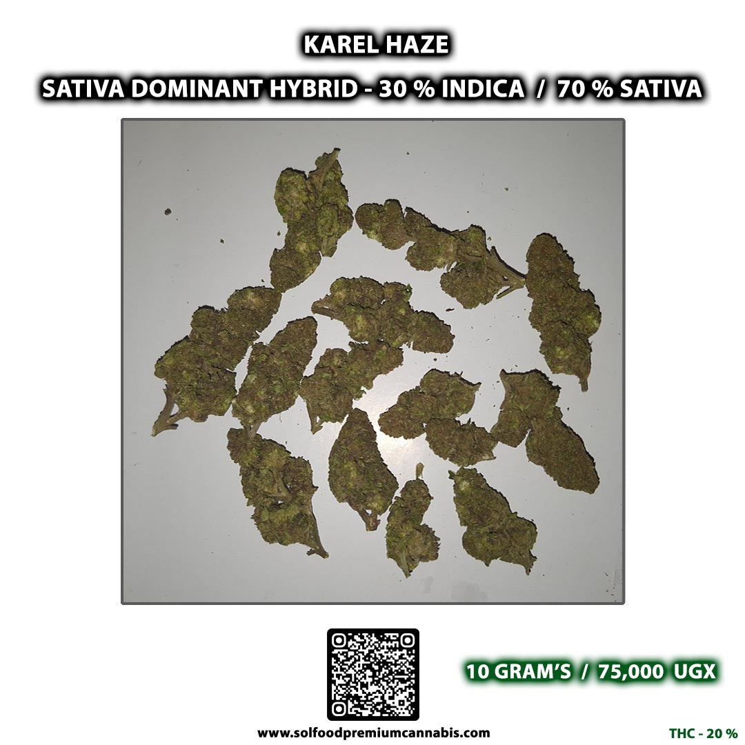 Karel Haze - 10 Grams