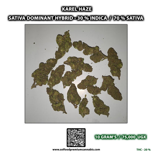 Karel Haze - 10 Grams