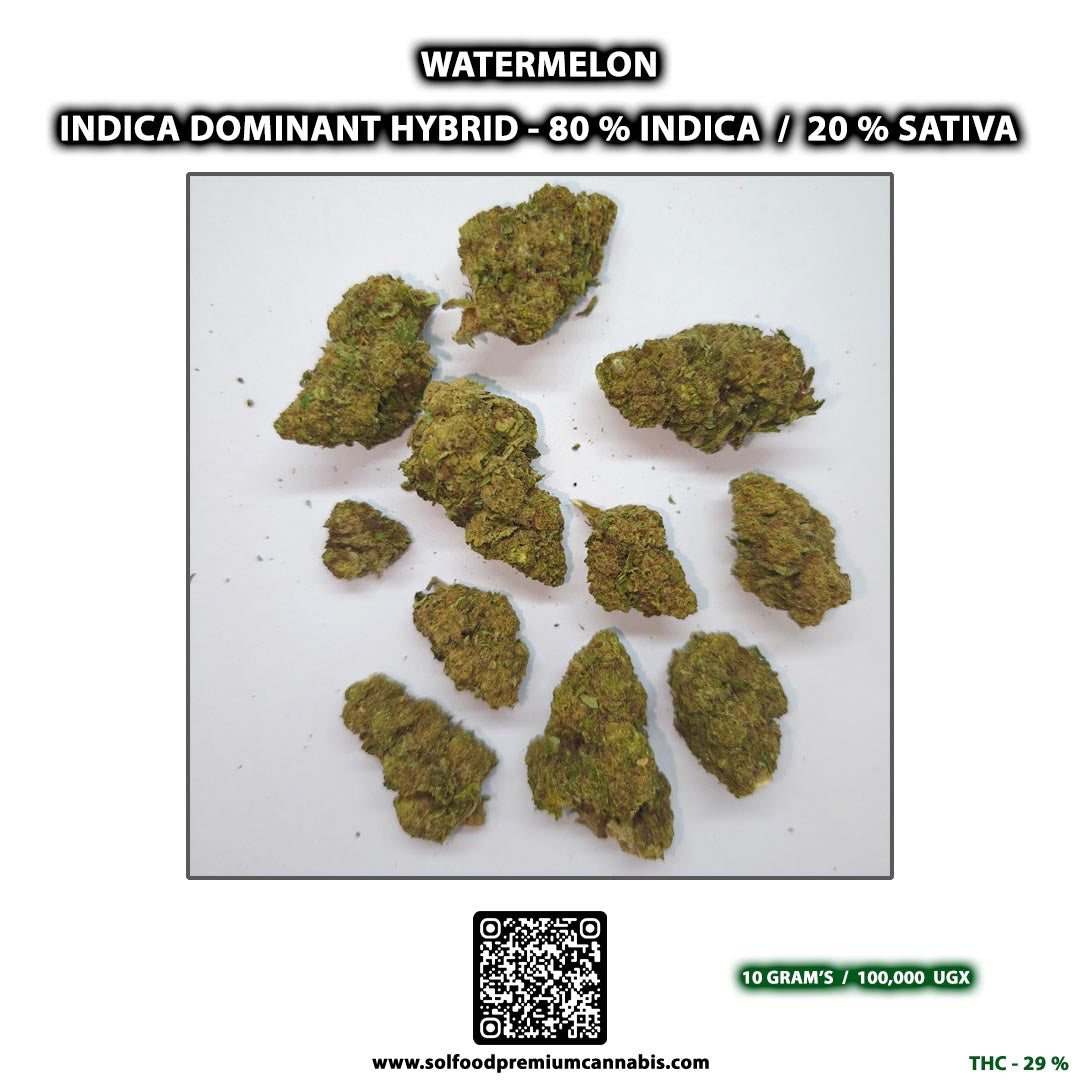 Watermelon - 10 Grams