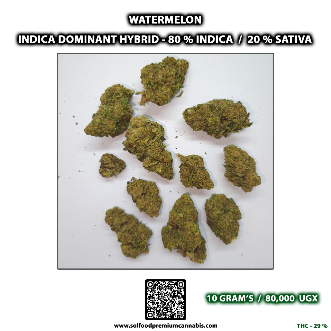 Watermelon - 10 Grams