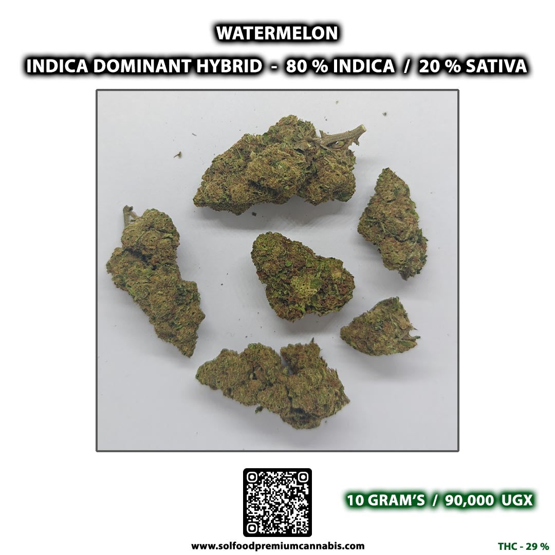 Watermelon - 10 Grams