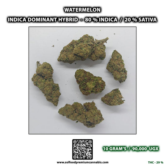 Watermelon - 10 Grams