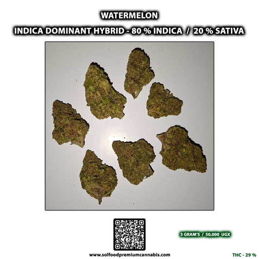 Watermelon - 5 Grams